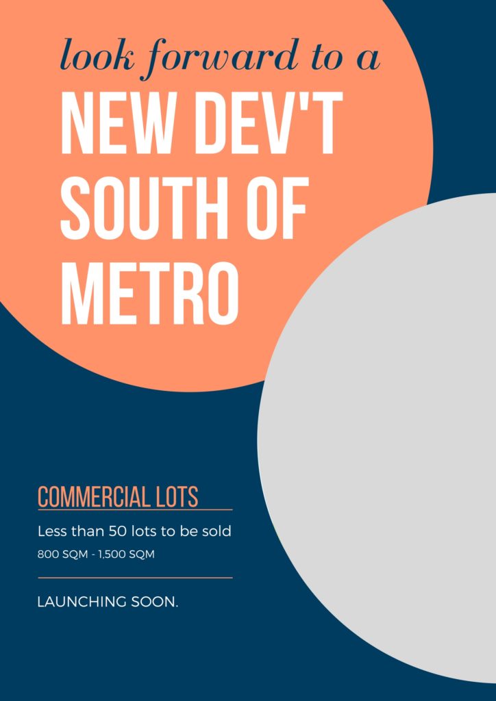 new dev'tsouth of metro (1)